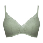 AUTOIMG|OXB-1364-GRN-A-75