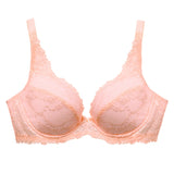 dalia 3/4 cup