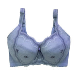 envy demi bra