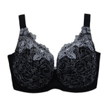 eloisa full coverage plus