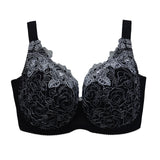 eloisa full coverage plus