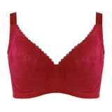 Rivera High Paneled Full Cup Bra