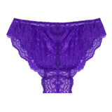daniella cheeky lace bikini hipster panty