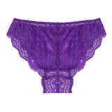 daniella cheeky lace bikini hipster panty