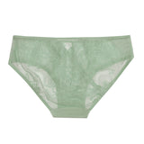delina sheer peephole lace bikini panty