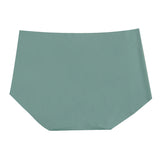 lightweight seamless microfiber panty