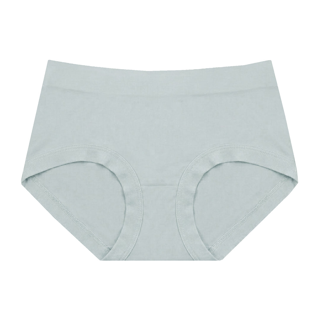 silky ultra soft stretch knitted panty