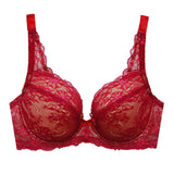 ariba demi bra