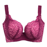 envy premium demi bra